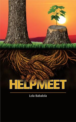 Cover of the book Helpmeet by John Laurier