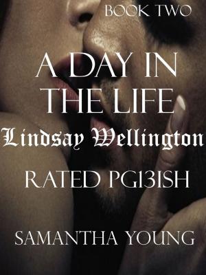 Cover of the book A Day in the Life / Lindsay Wellington / Rated Pg13ish by J. Q. LINCOLN