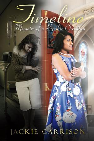 bigCover of the book Timeline Memoirs of a Bipolar Christian by 