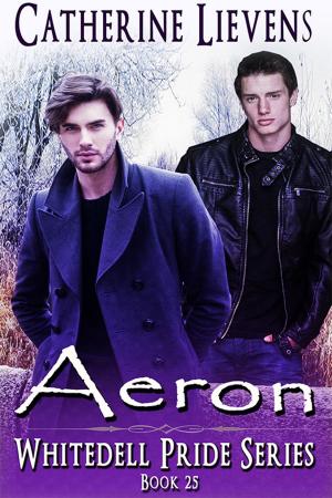 Cover of the book Aeron by Albert Robida