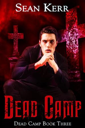 Cover of the book Dead Camp 3 by Mark Alders