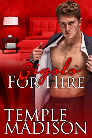 Cover of the book Gigolo for Hire by Caitlin Ricci
