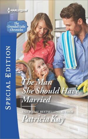 Cover of the book The Man She Should Have Married by Annie West
