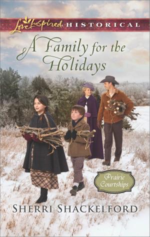 Cover of the book A Family for the Holidays by Vivienne Wallington