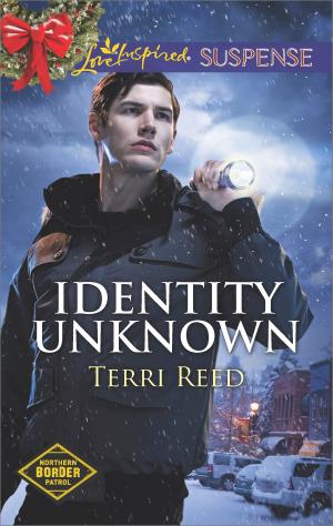 Cover of the book Identity Unknown by Tes Hilaire