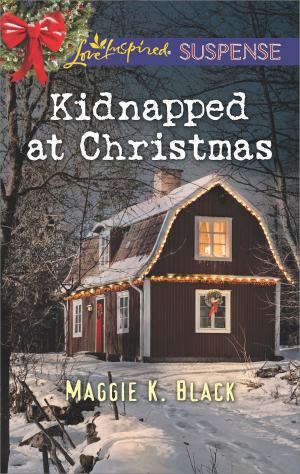 Cover of the book Kidnapped at Christmas by Lucy Clark, Lilian Darcy