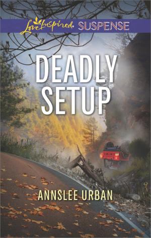 Cover of the book Deadly Setup by Cathy Gillen Thacker