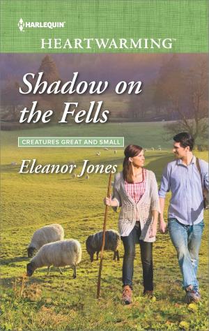 Book cover of Shadow on the Fells