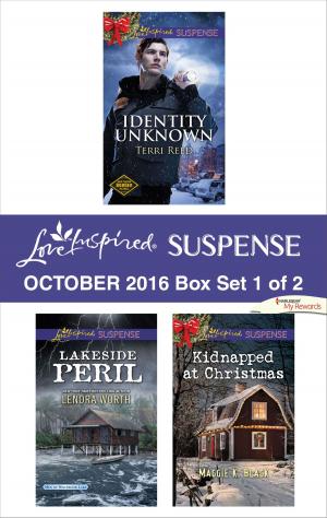 Book cover of Harlequin Love Inspired Suspense October 2016 - Box Set 1 of 2