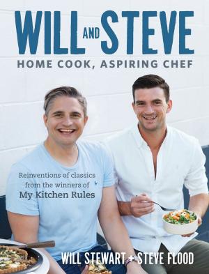 Book cover of Will And Steve