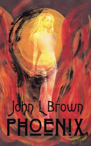 Cover of the book Phoenix by John Downes
