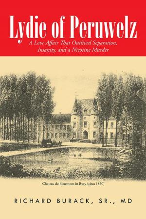 Book cover of Lydie of Peruwelz
