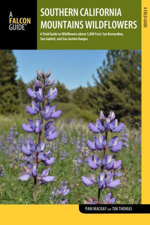 Cover of the book Southern California Mountains Wildflowers by Shanti Hodges
