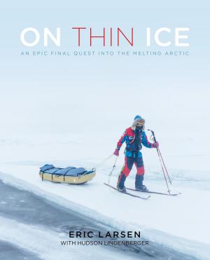 Cover of the book On Thin Ice by Lynn Goya, Alexander Goya