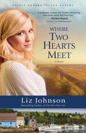 Cover of the book Where Two Hearts Meet (Prince Edward Island Dreams Book #2) by W. Randolph Tate