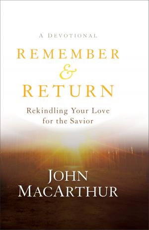bigCover of the book Remember and Return by 