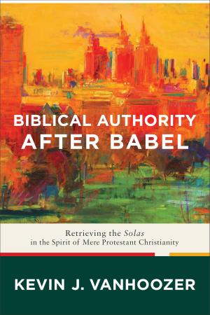 Book cover of Biblical Authority after Babel