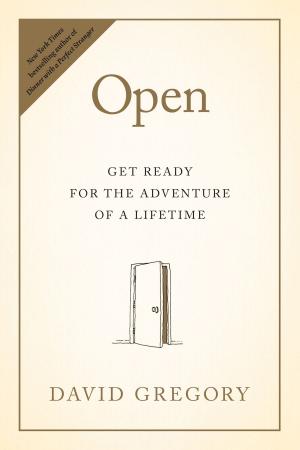 Cover of the book Open by Chris Fabry