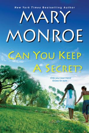 Cover of the book Can You Keep a Secret? by Elizabeth Amber