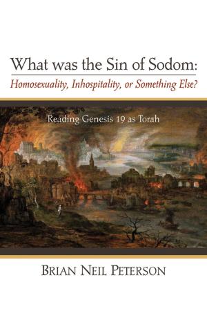 Cover of the book What was the Sin of Sodom: Homosexuality, Inhospitality, or Something Else? by Benjamin W. Farley