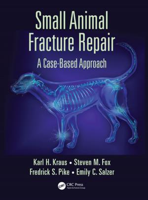Book cover of Small Animal Fracture Repair