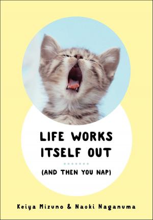 Cover of the book Life Works Itself Out by Jared Dillian