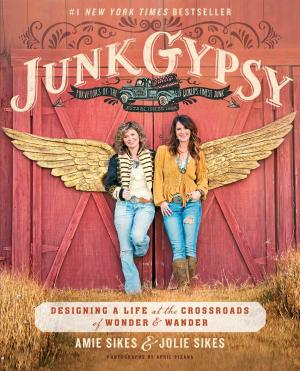 Cover of the book Junk Gypsy by Betty DeRamus