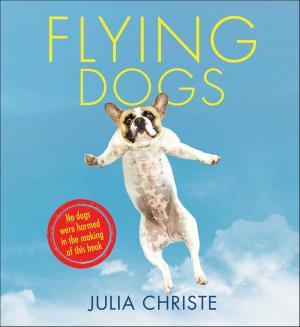 Cover of the book Flying Dogs by Cynthia Rowley, Ilene Rosenzweig