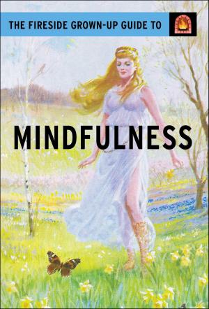 Cover of the book The Fireside Grown-Up Guide to Mindfulness by Bethany Maines