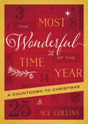 Book cover of The Most Wonderful Time of the Year