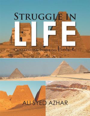 Cover of the book Struggle in Life by Kaero Davis