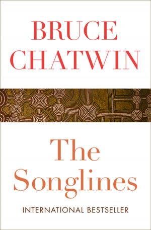 bigCover of the book The Songlines by 