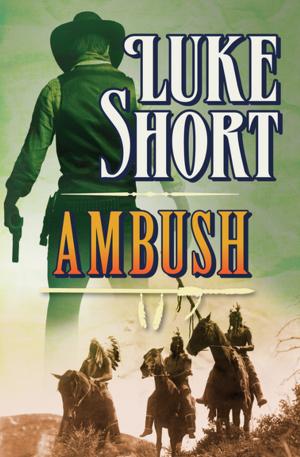Cover of the book Ambush by Patricia Potter