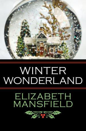 Cover of the book Winter Wonderland by Gillian White