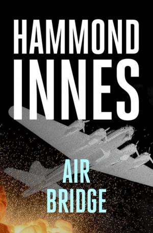 Cover of the book Air Bridge by Brett Halliday