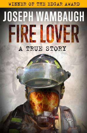 Cover of Fire Lover