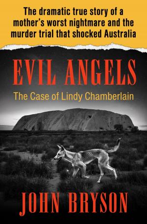 Cover of the book Evil Angels by Alexander Key