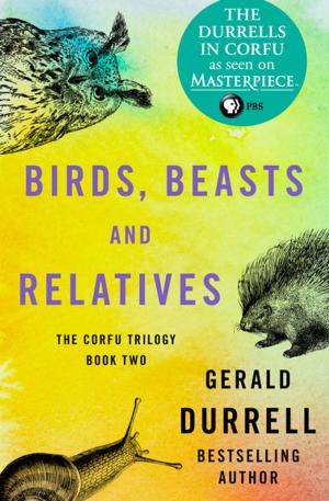 Book cover of Birds, Beasts and Relatives