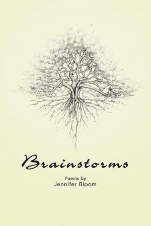 bigCover of the book Brainstorms by 