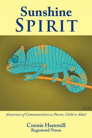 bigCover of the book Sunshine Spirit by 