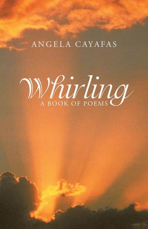 Cover of the book Whirling by Jamie Willard