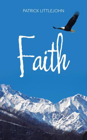 Cover of the book Faith by Paul D. Knott Ph.D.
