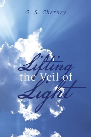 Cover of the book Lifting the Veil of Light by Linda Lee