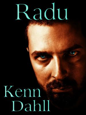 Cover of the book Radu by habu