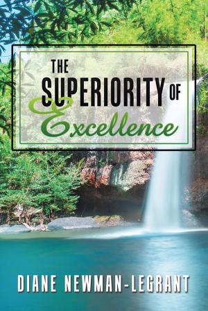 Cover of the book The Superiority of Excellence by Dr Bev Wolmarans