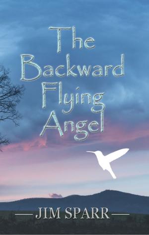 Cover of the book The Backward Flying Angel by Yuri Menis