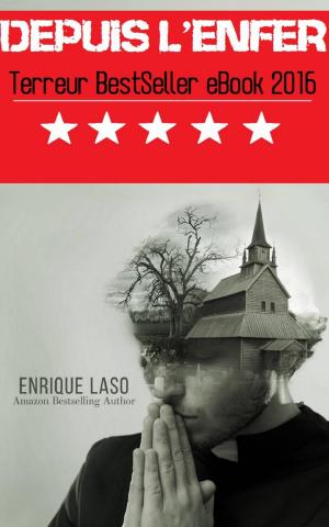 Cover of the book Depuis l'enfer by Christina Vinters