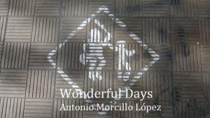Cover of the book Wonderful Days by Valeria Ornano