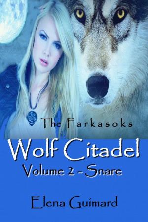 bigCover of the book Wolf Citadel Volume 2 - Snare by 