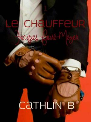 bigCover of the book Le Chauffeur 1 - Jacques Fauré-Meyer by 